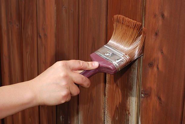 Deck and Fence Painting
